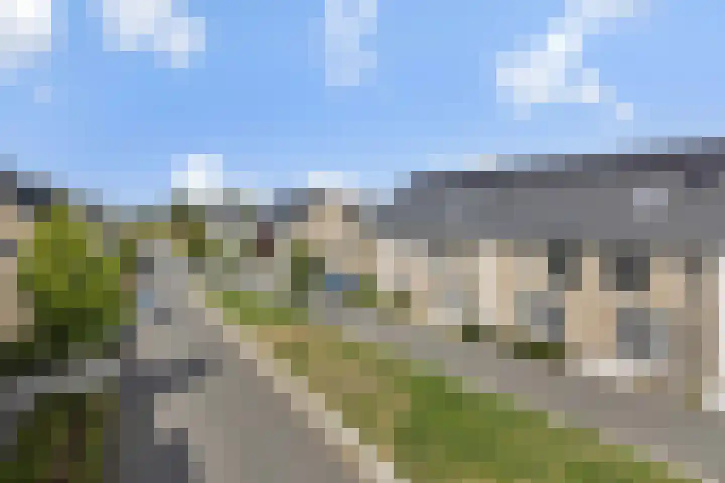 Speenkruid 13 Berghem thumbnail 41