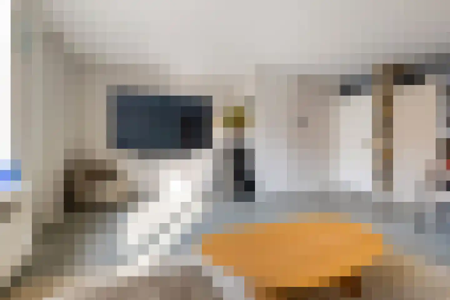 Speenkruid 13 Odijk thumbnail 14