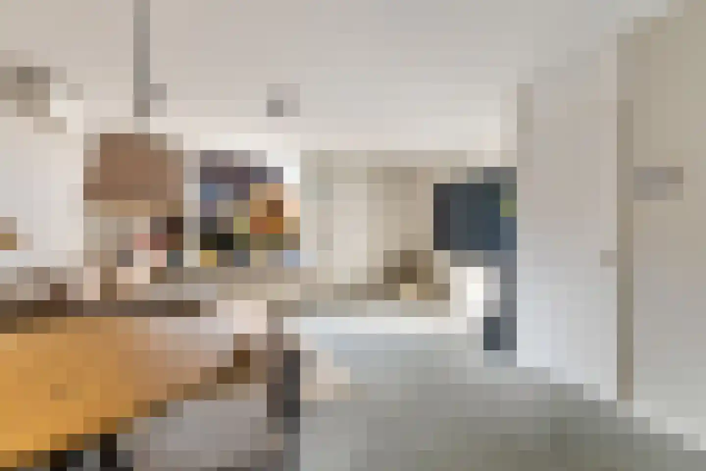 Speenkruid 13 Odijk thumbnail 16
