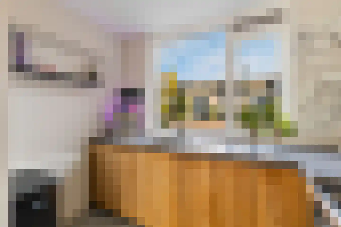 Speenkruid 13 Odijk thumbnail 20