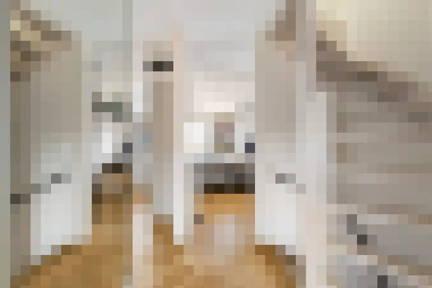 Speenkruid 13 Odijk thumbnail 26