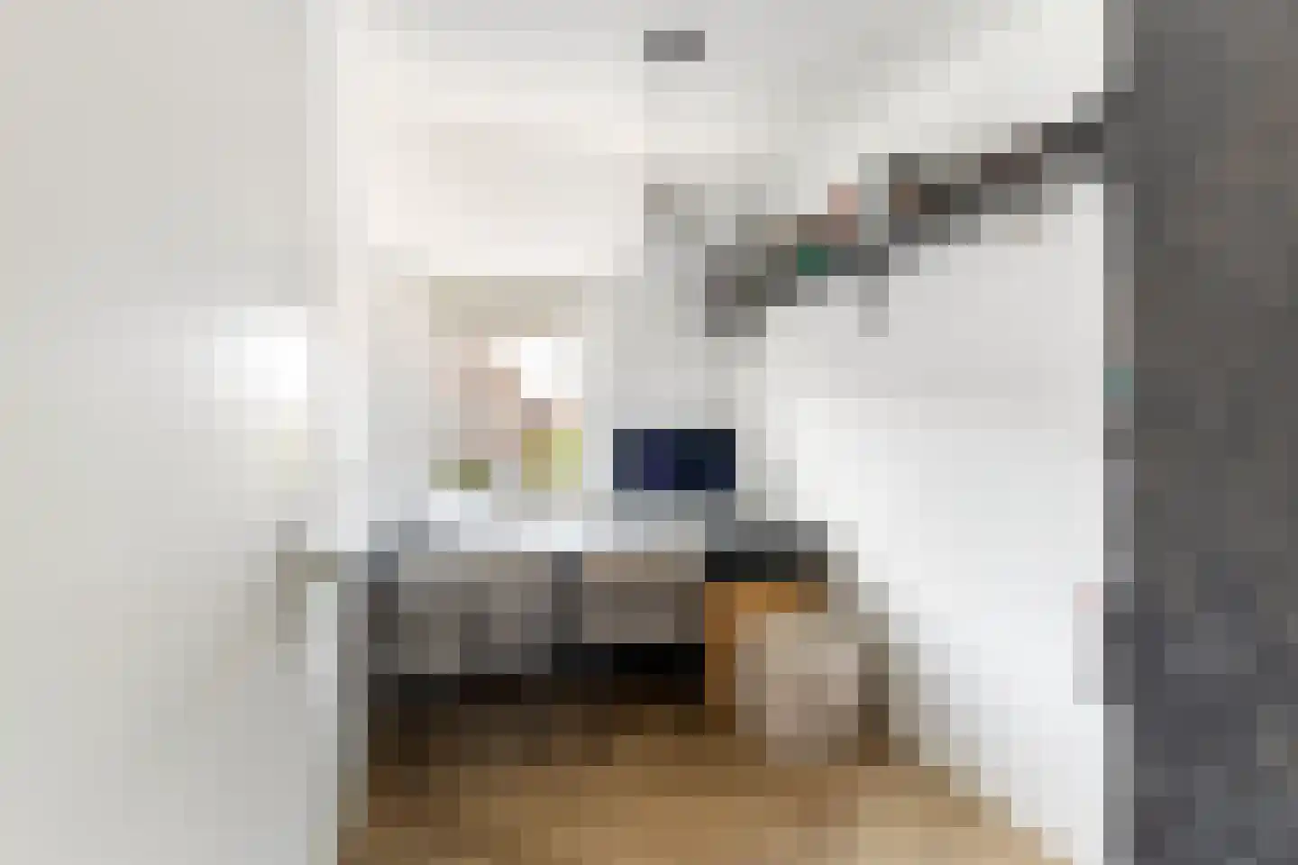 Speenkruid 13 Odijk thumbnail 27