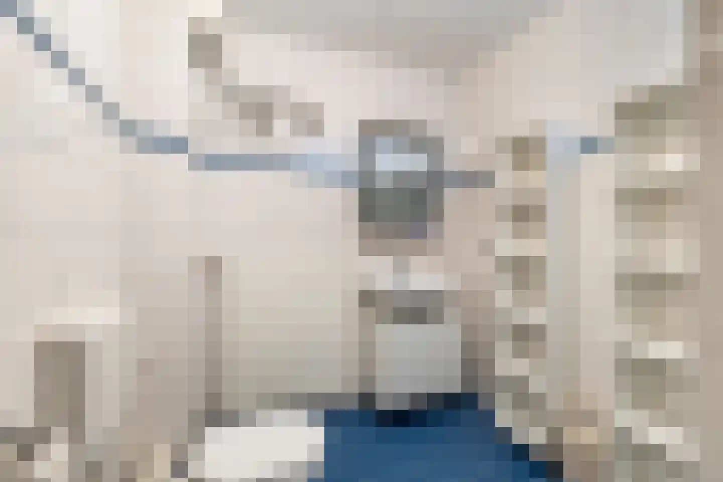 Speenkruid 13 Odijk thumbnail 30
