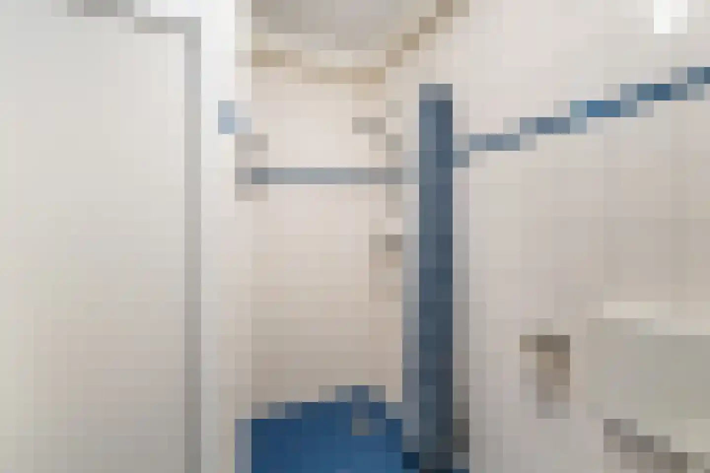 Speenkruid 13 Odijk thumbnail 31