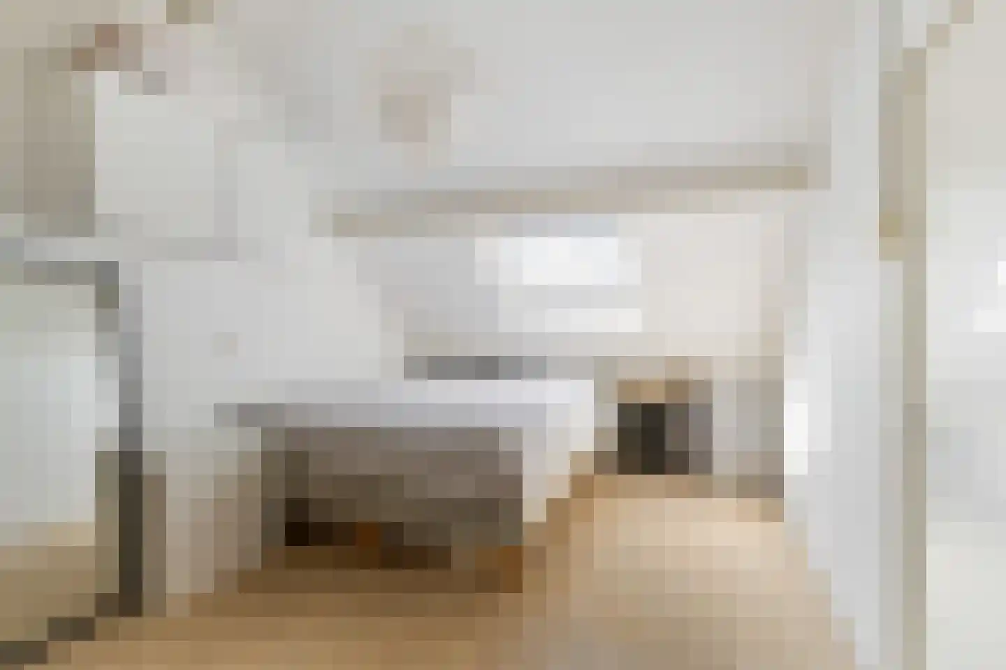 Speenkruid 13 Odijk thumbnail 35