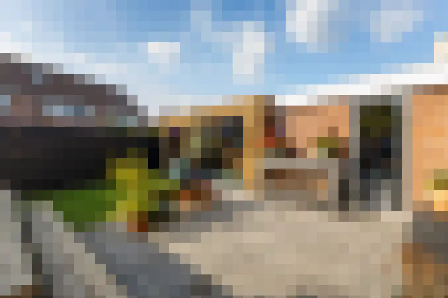 Speenkruid 13 Odijk thumbnail 38