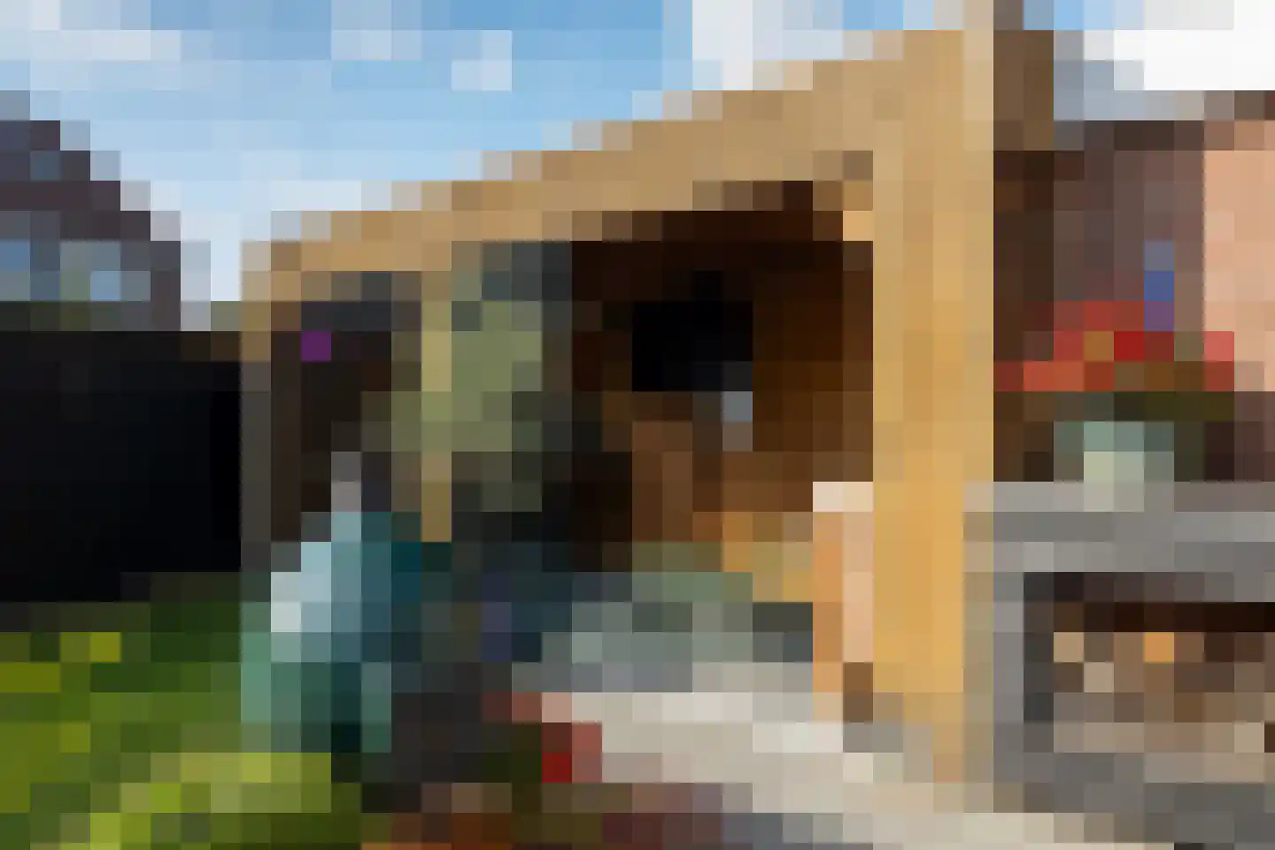 Speenkruid 13 Odijk thumbnail 39