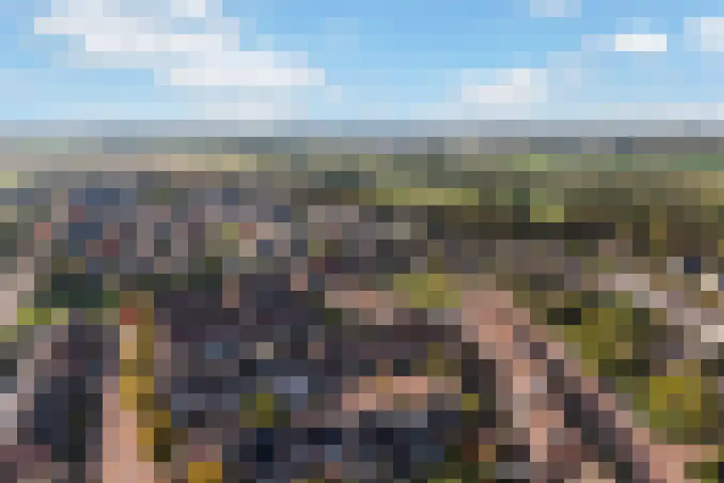 Speenkruid 13 Odijk thumbnail 4