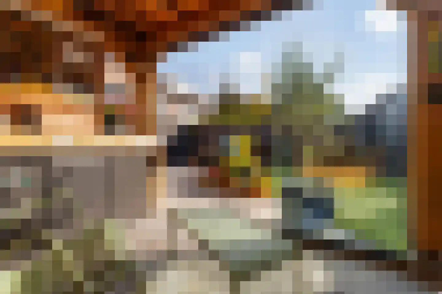 Speenkruid 13 Odijk thumbnail 41