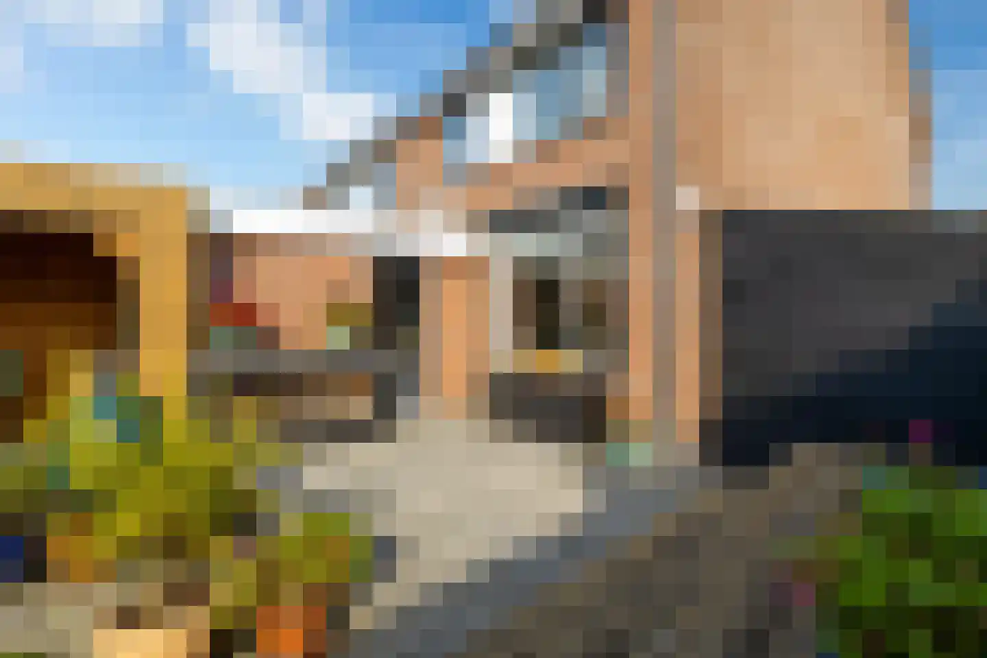 Speenkruid 13 Odijk thumbnail 45