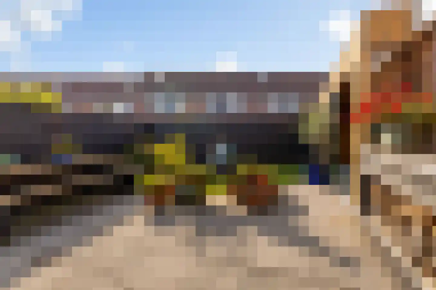 Speenkruid 13 Odijk thumbnail 47