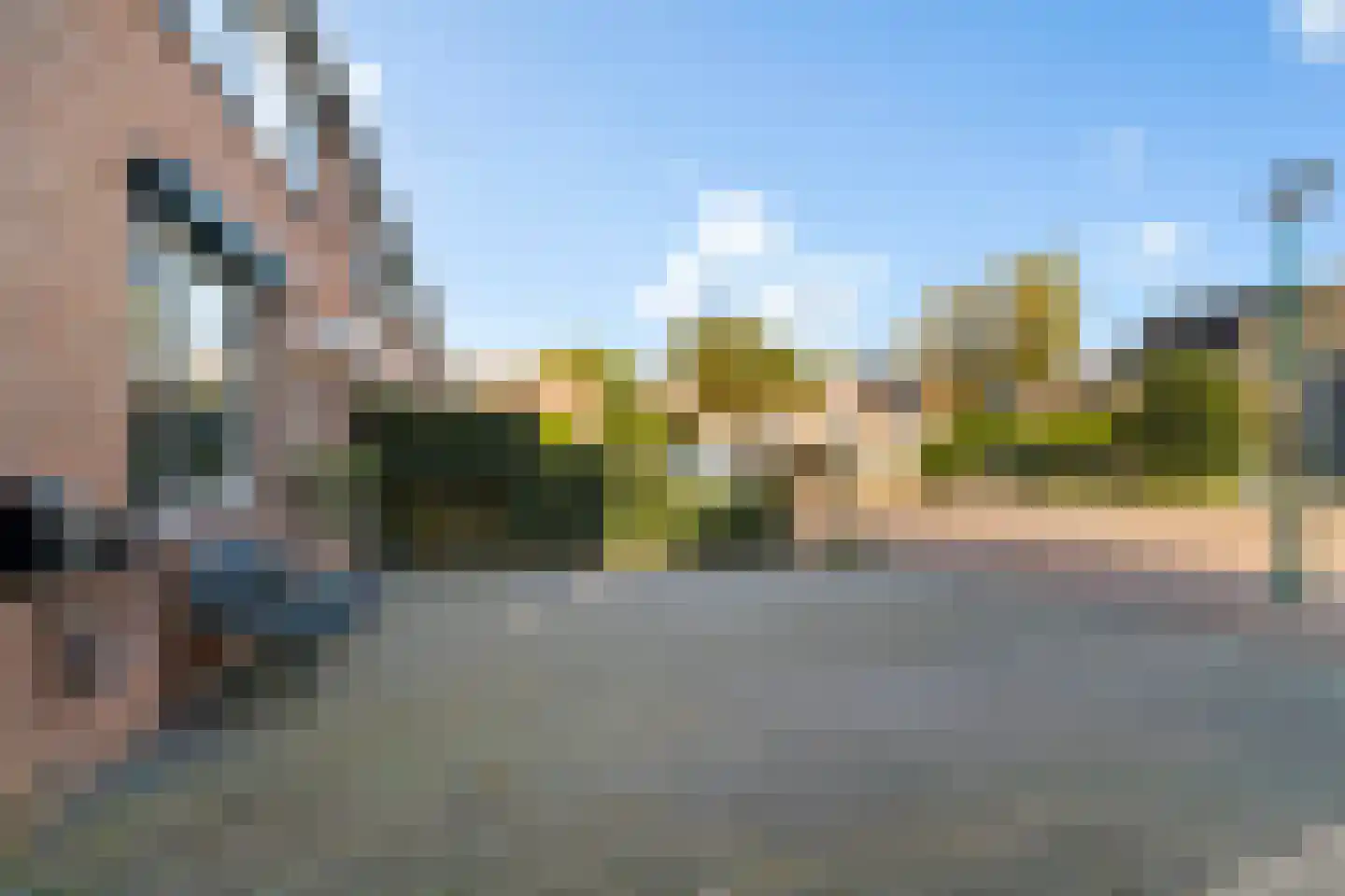 Speenkruid 13 Odijk thumbnail 53