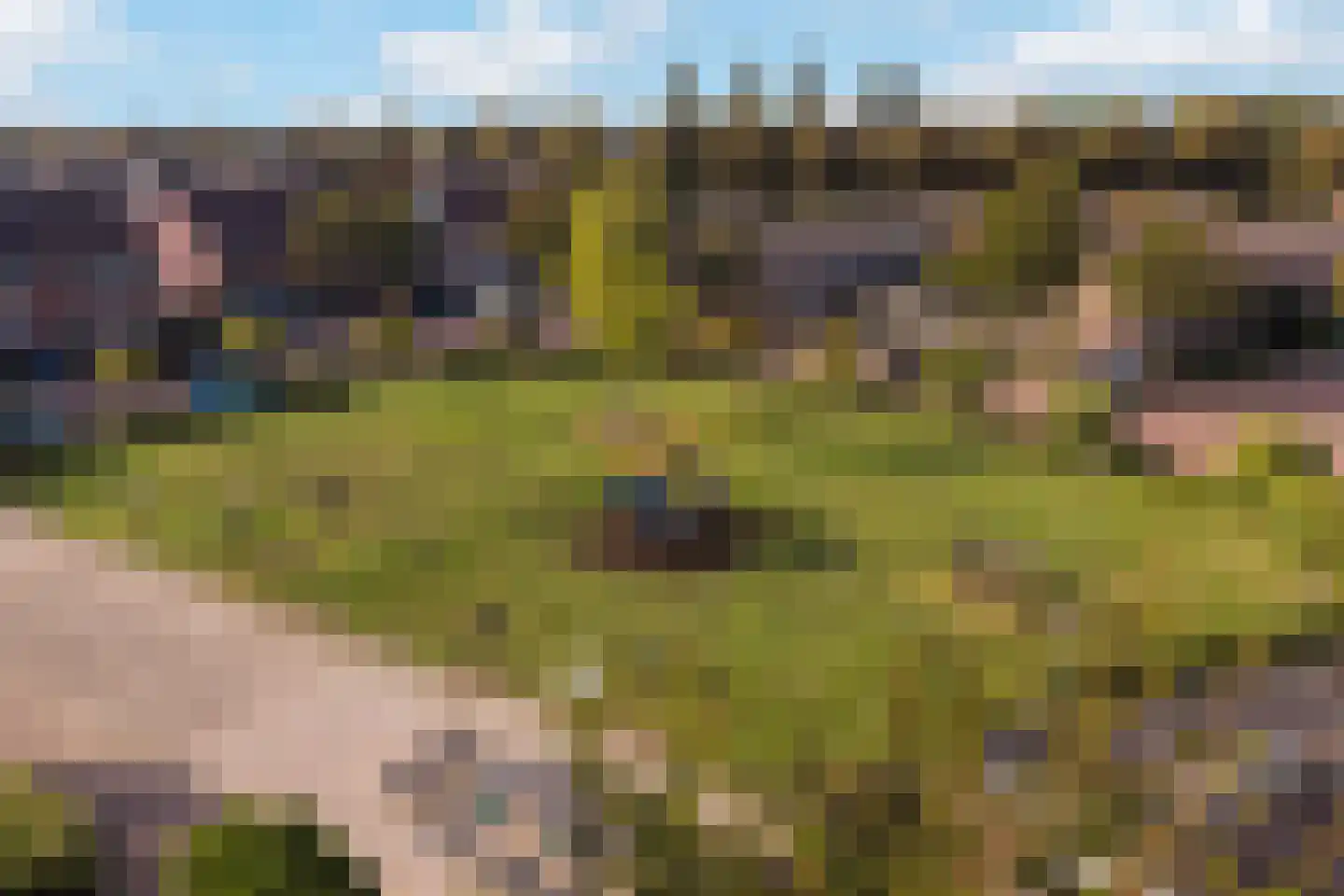 Speenkruid 13 Odijk thumbnail 56