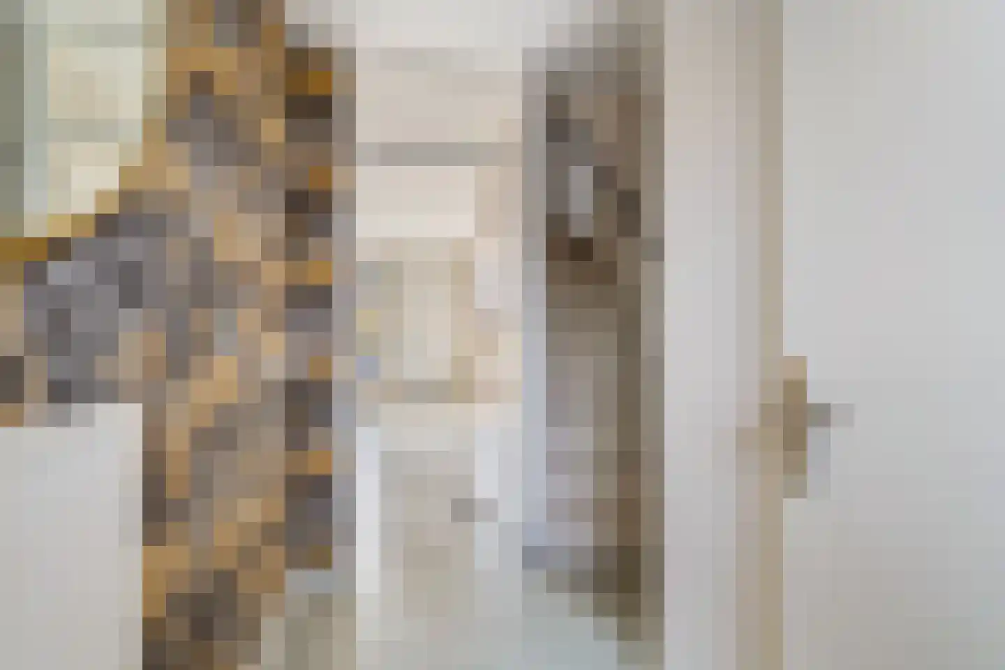 Speenkruid 13 Odijk thumbnail 6