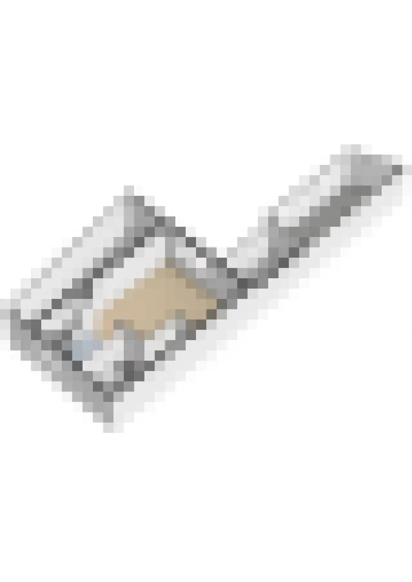 Speenkruid 13 Odijk thumbnail 62