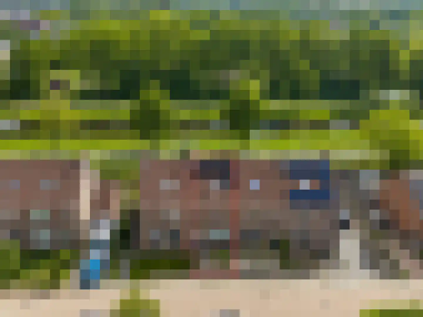 Speenkruid 130 Beilen