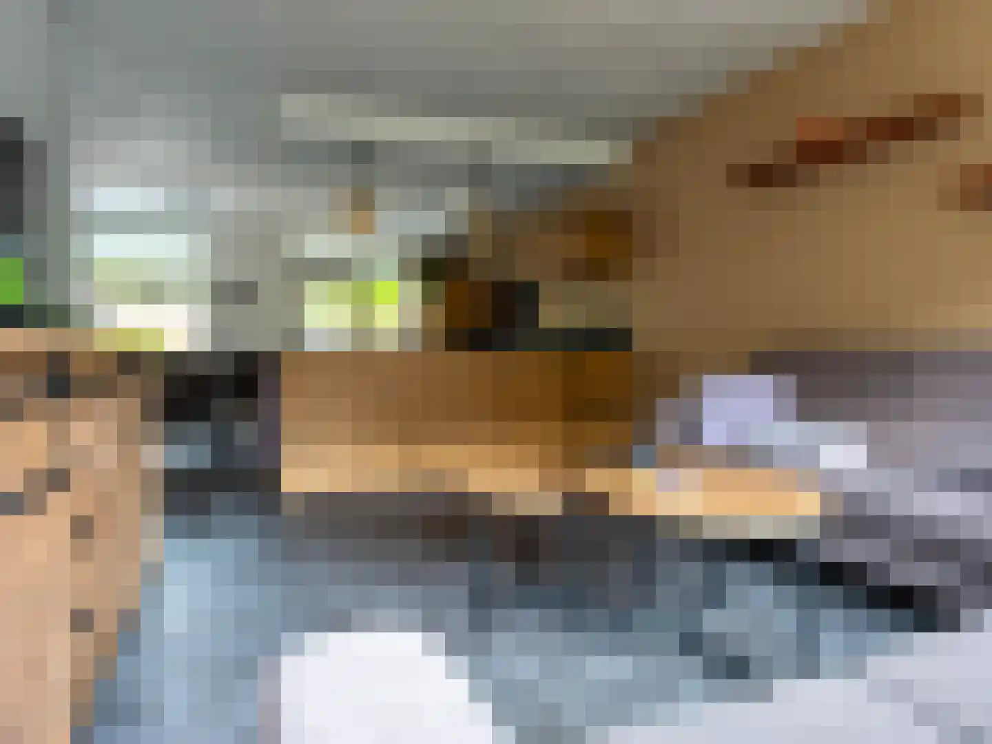 Speenkruid 130 Beilen thumbnail 11
