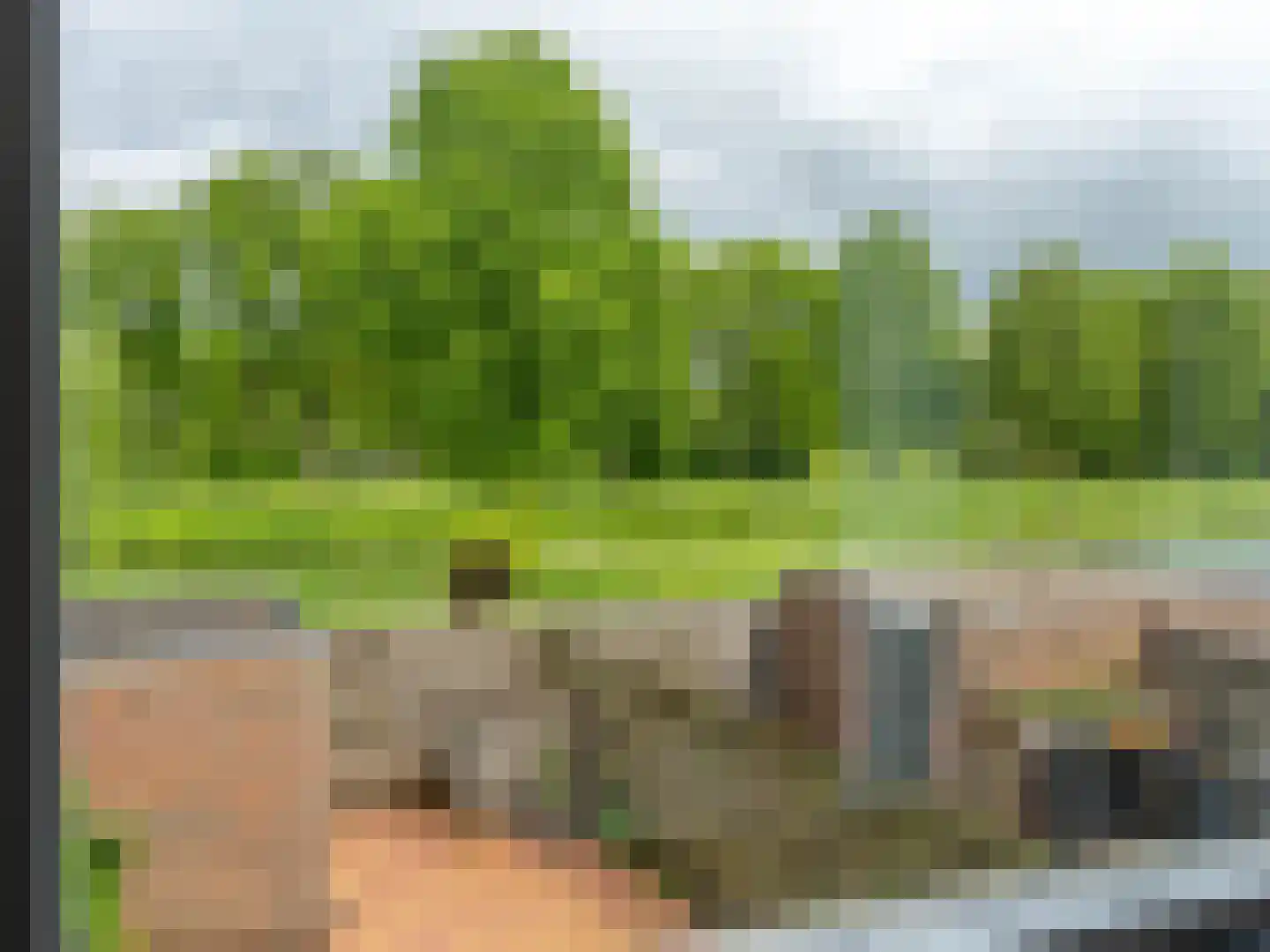 Speenkruid 130 Beilen thumbnail 35