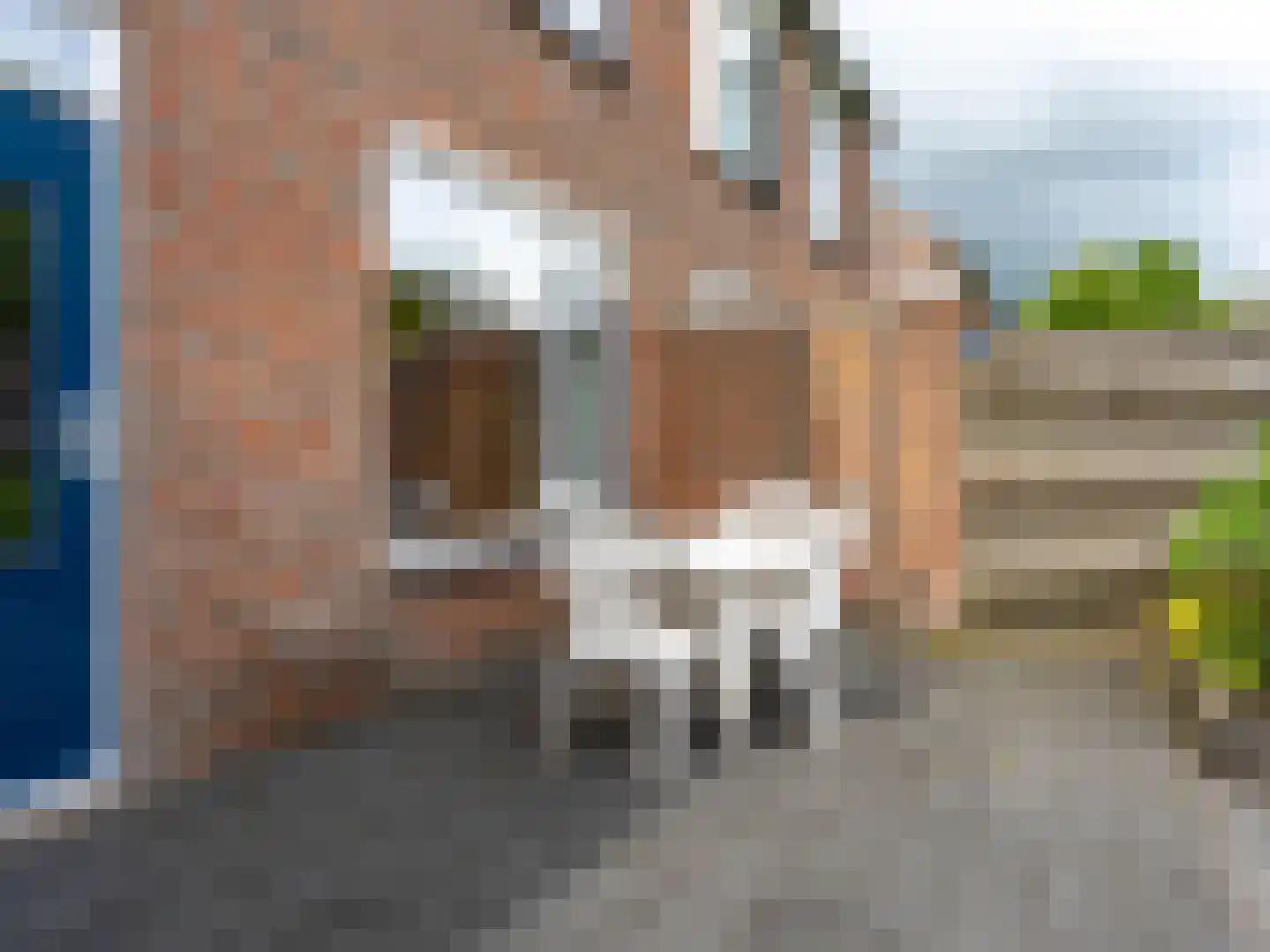 Speenkruid 130 Beilen thumbnail 36