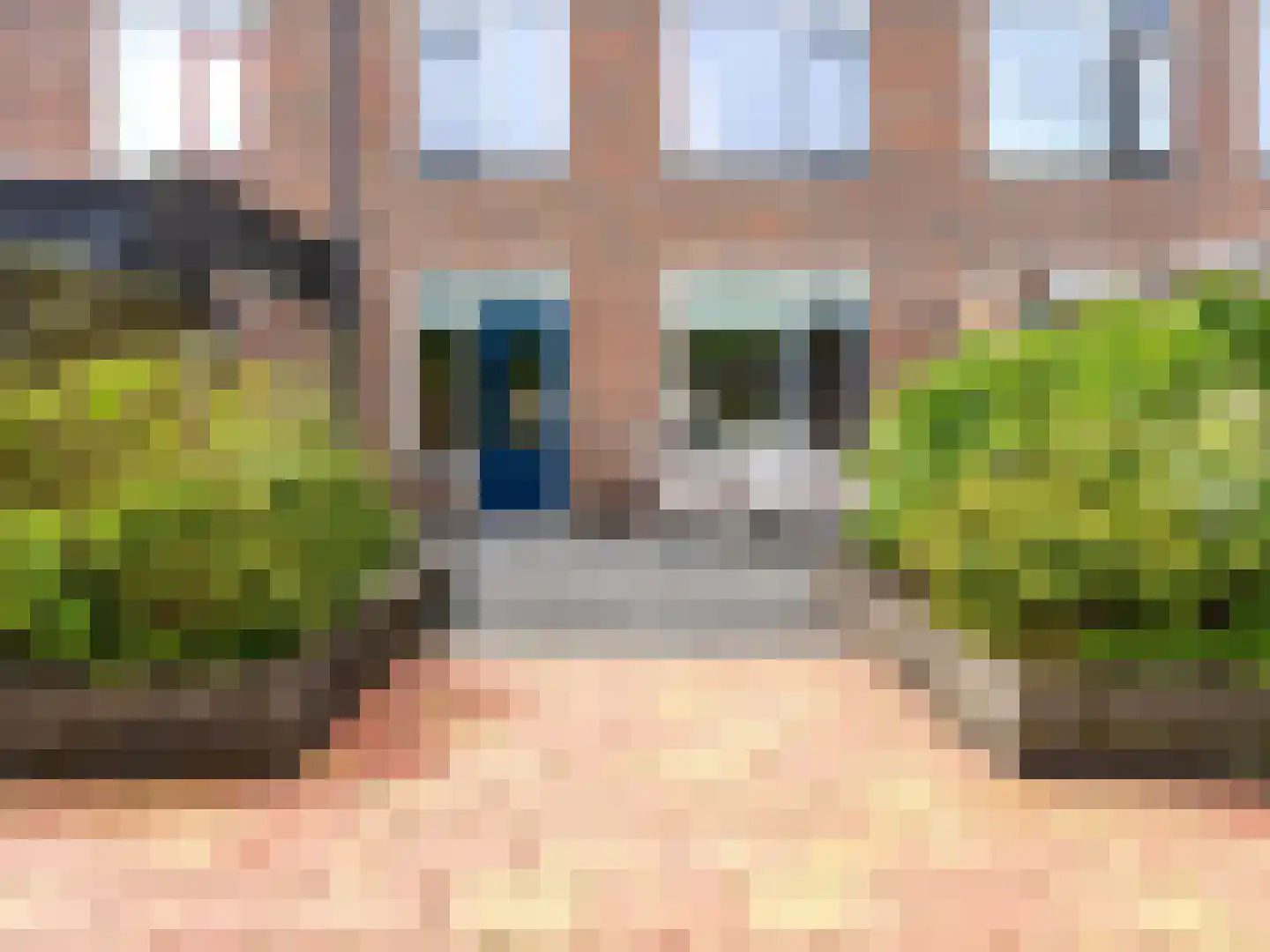 Speenkruid 130 Beilen thumbnail 37