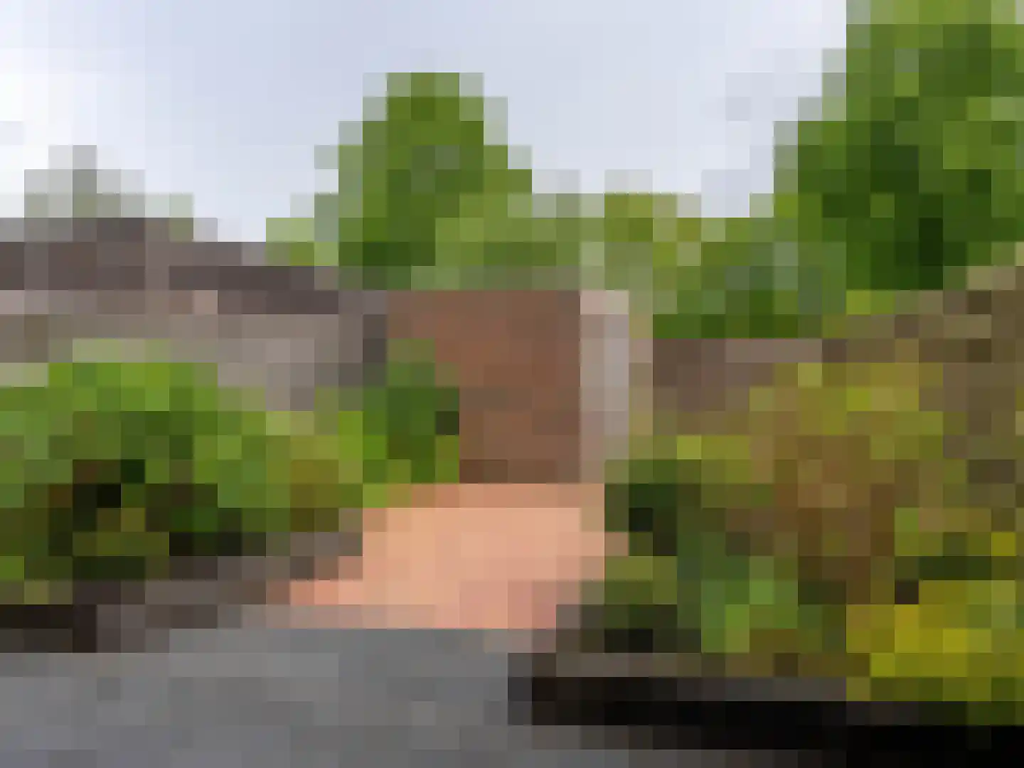 Speenkruid 130 Beilen thumbnail 38