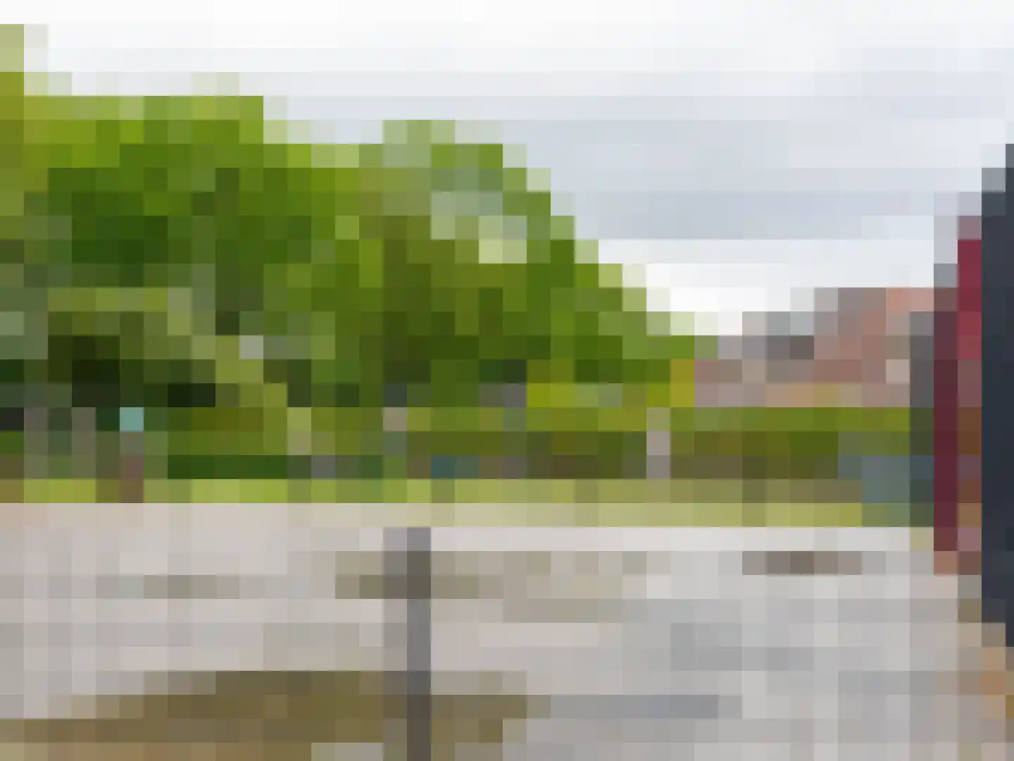 Speenkruid 130 Beilen thumbnail 42