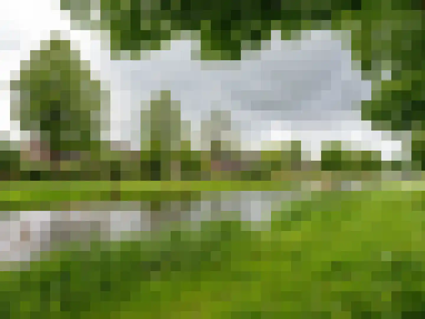 Speenkruid 130 Beilen thumbnail 44