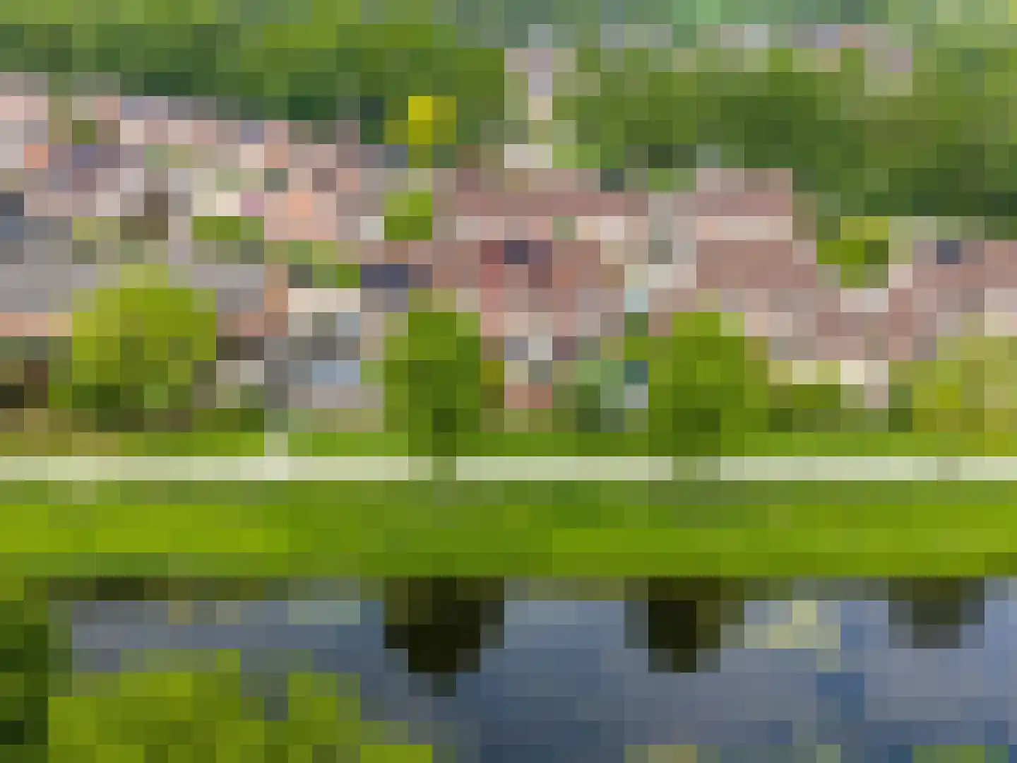 Speenkruid 130 Beilen thumbnail 45