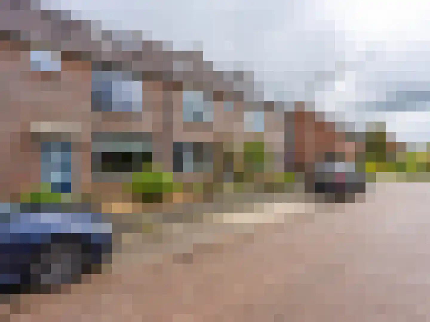 Speenkruid 130 Beilen thumbnail 5
