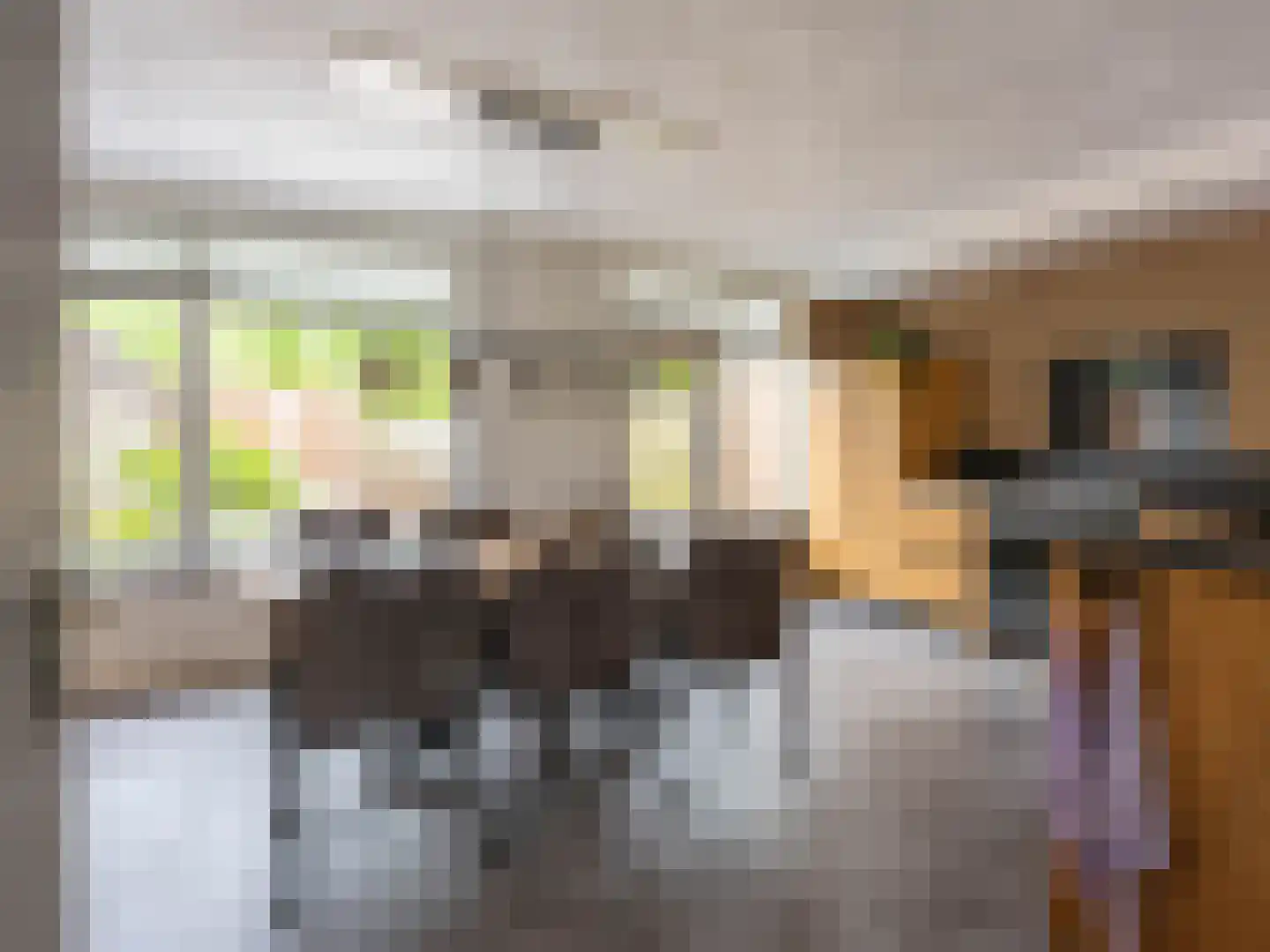 Speenkruid 130 Beilen thumbnail 7