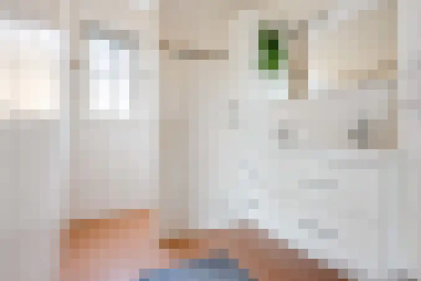 Speenkruid 14 Haaksbergen thumbnail 27