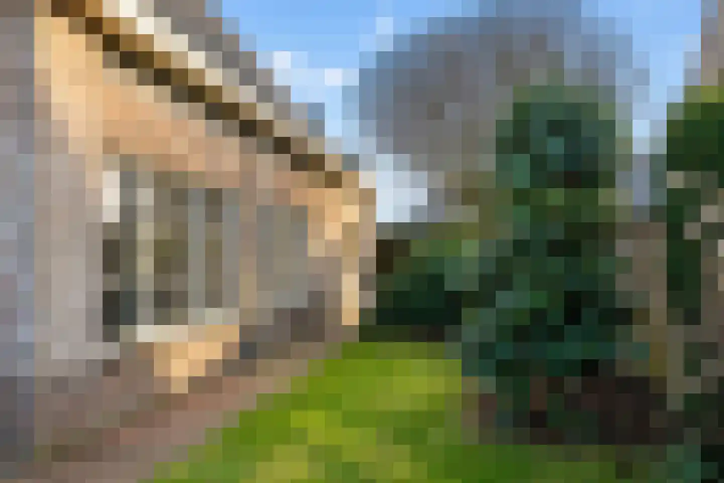 Speenkruid 14 Haaksbergen thumbnail 51