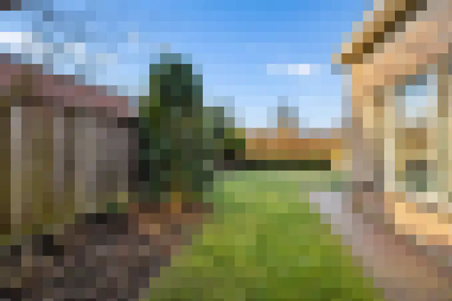 Speenkruid 14 Haaksbergen thumbnail 55