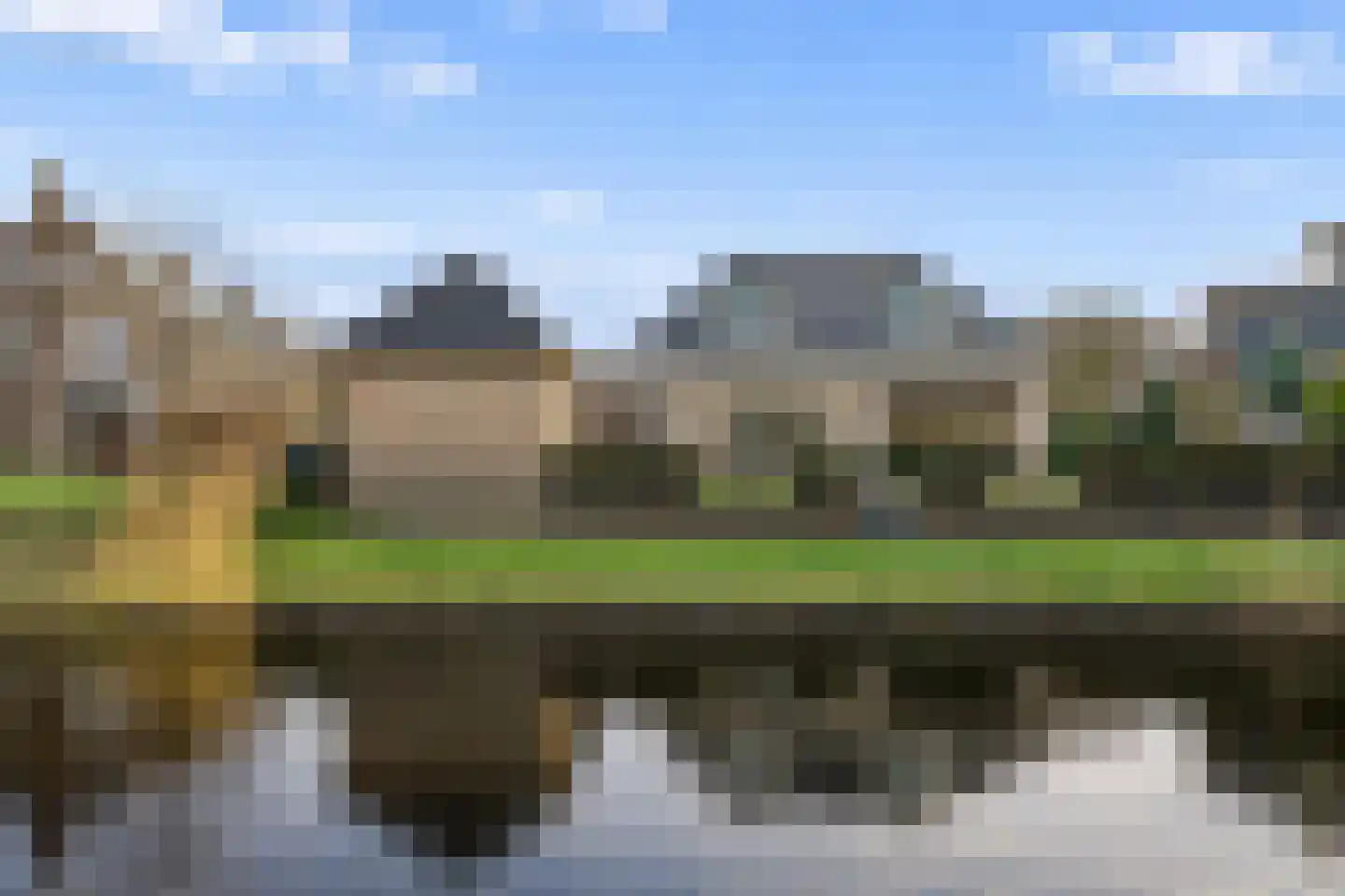 Speenkruid 14 Haaksbergen thumbnail 60