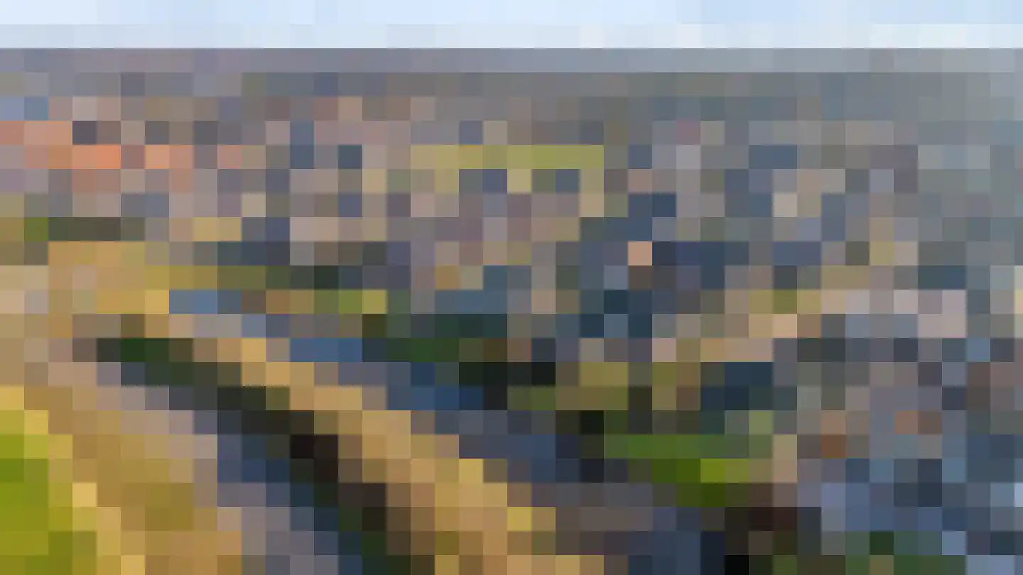 Speenkruid 14 Haaksbergen thumbnail 63