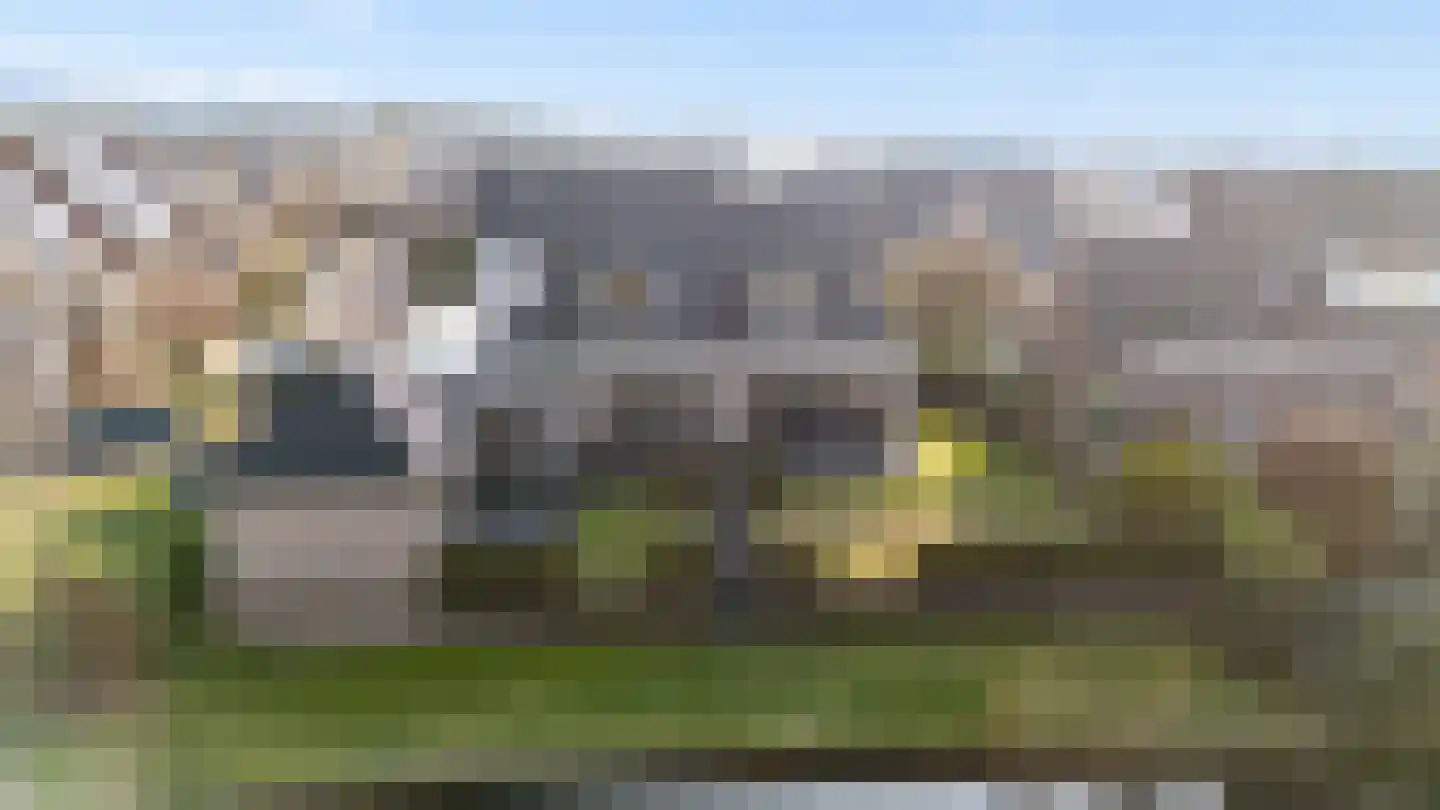 Speenkruid 14 Haaksbergen thumbnail 64