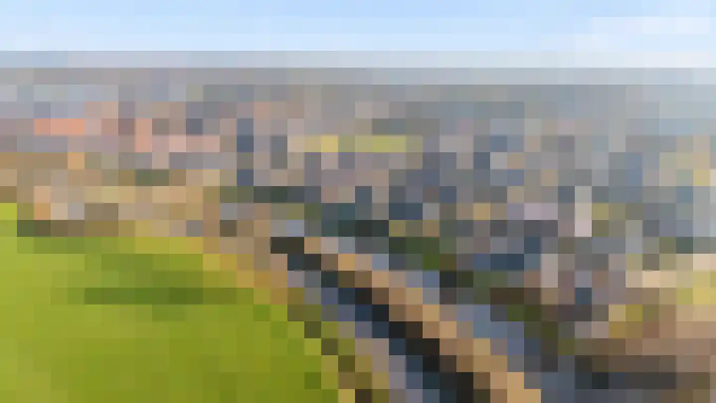 Speenkruid 14 Haaksbergen thumbnail 65