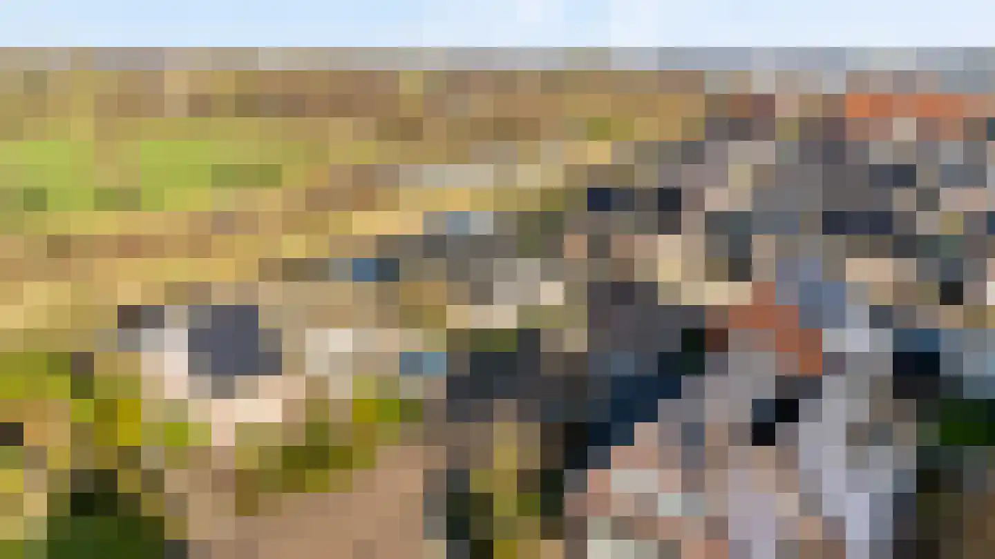 Speenkruid 14 Haaksbergen thumbnail 66