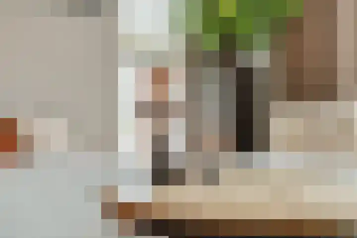 Speenkruid 16 Berghem thumbnail 10