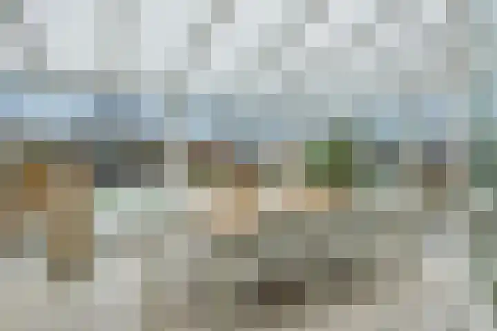 Speenkruid 16 Berghem thumbnail 15