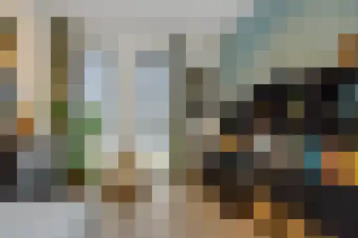 Speenkruid 16 Berghem thumbnail 27