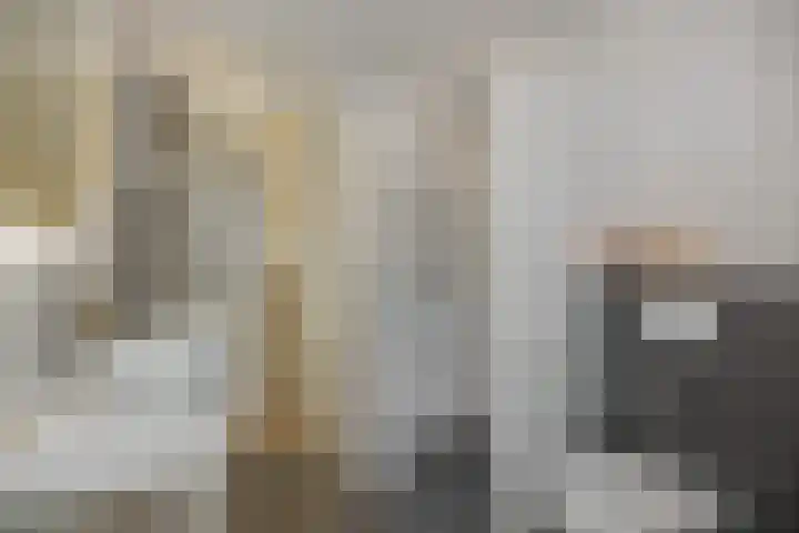 Speenkruid 16 Berghem thumbnail 29