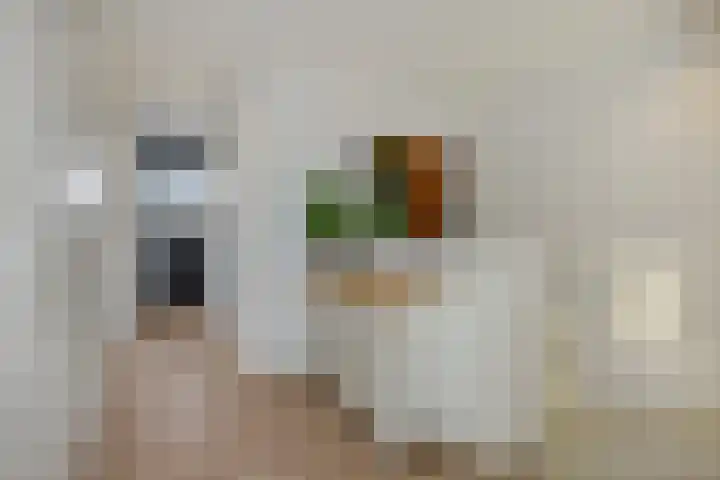 Speenkruid 16 Berghem thumbnail 30