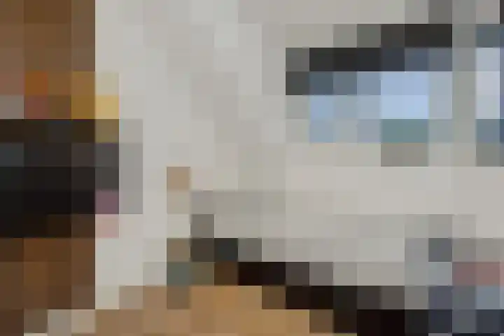 Speenkruid 16 Berghem thumbnail 36