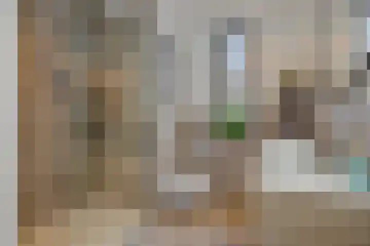 Speenkruid 16 Berghem thumbnail 37