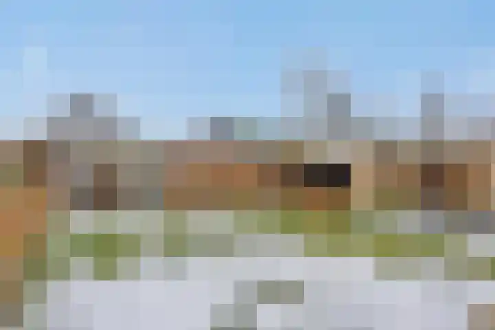 Speenkruid 16 Berghem thumbnail 40