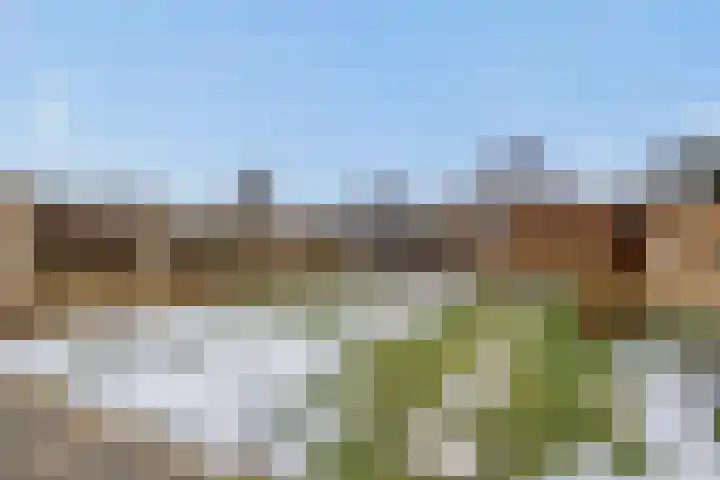 Speenkruid 16 Berghem thumbnail 41