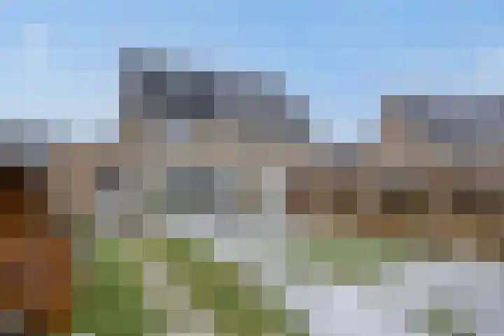 Speenkruid 16 Berghem thumbnail 46