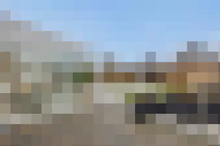 Speenkruid 16 Berghem thumbnail 47