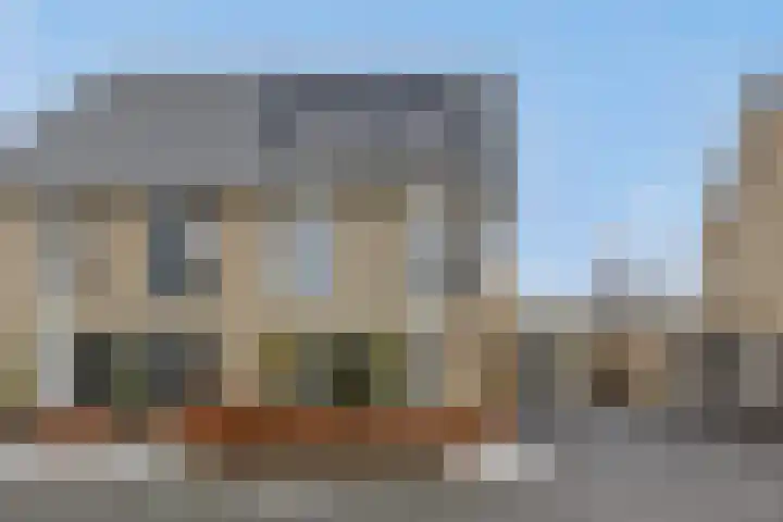 Speenkruid 16 Berghem thumbnail 48